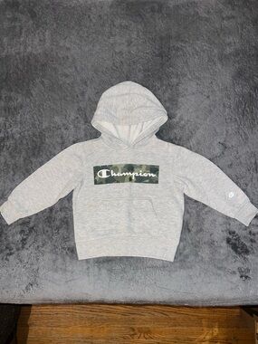 Champion Light Gray Hoodie with Green Camo Logo